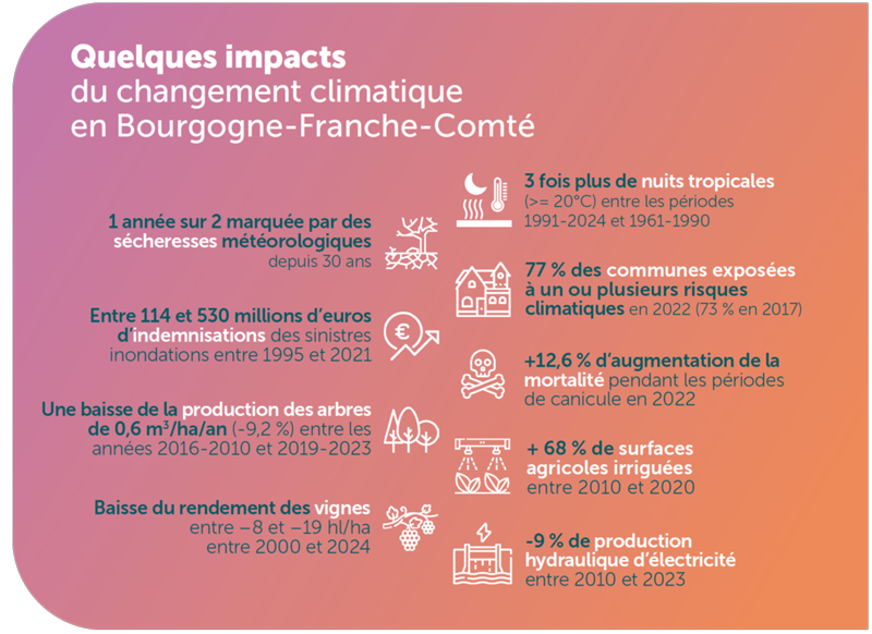 Quelques impacts du changement climatique en Bourgogne-Franche-Comté